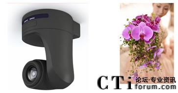 �������^���r�С�����